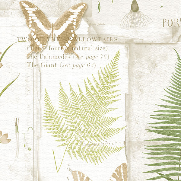 green and beige fern leaves on white wallcovering