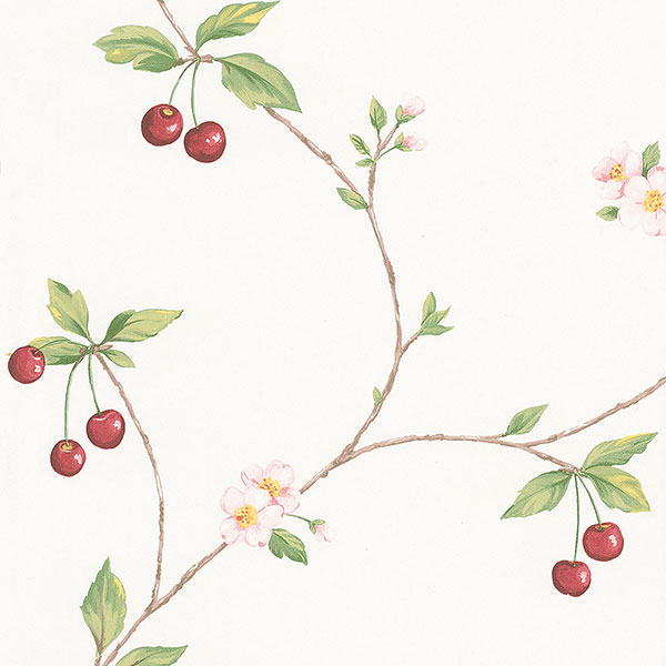 Cherry trail on white wallpaper