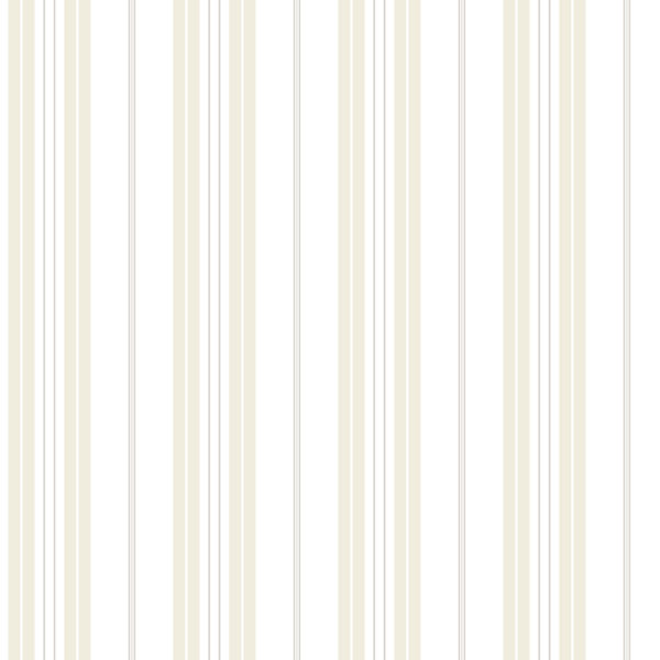 Aura Smart Stripes